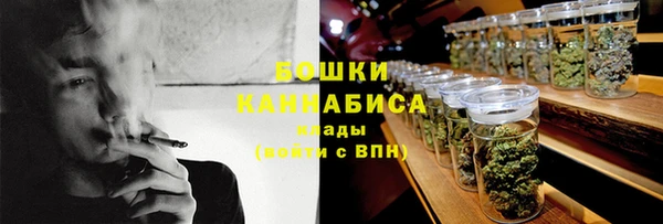 дурь Бронницы