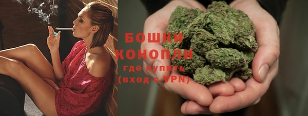 дмт Бородино