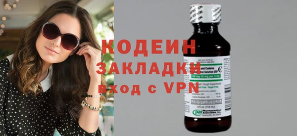 молекула духа Богданович