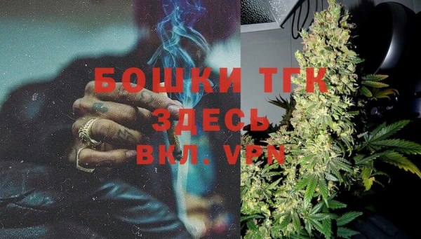 дурь Бронницы