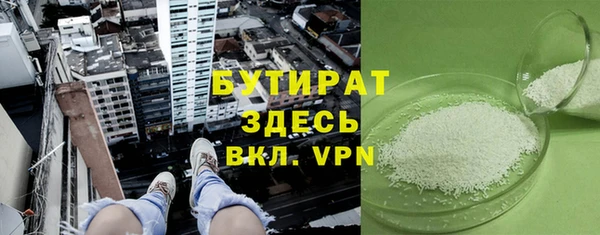 дмт Бородино