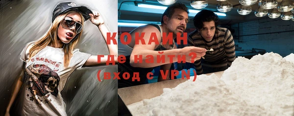 дмт Бородино