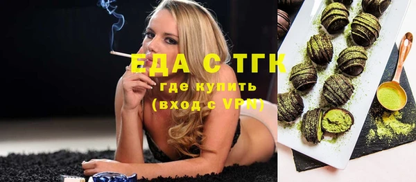 дмт Бородино