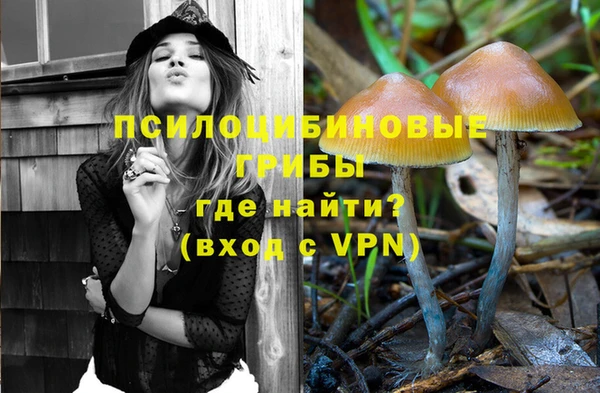 гашик Бугульма
