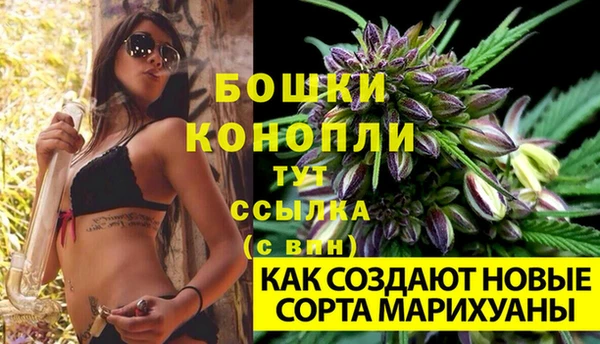 ГАЛЛЮЦИНОГЕННЫЕ ГРИБЫ Беломорск